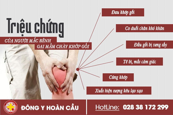 Bệnh gai mâm chày khớp gối là gì? Có nguy hiểm không? | Phòng khám đa khoa Hoàn Cầu