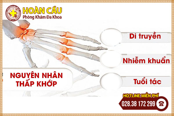 Nguyên nhân thấp khớp bạn nên biết | Phòng khám đa khoa Hoàn Cầu